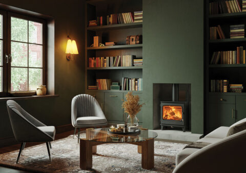 Onyx Olympus 5 Wood Burning Stove